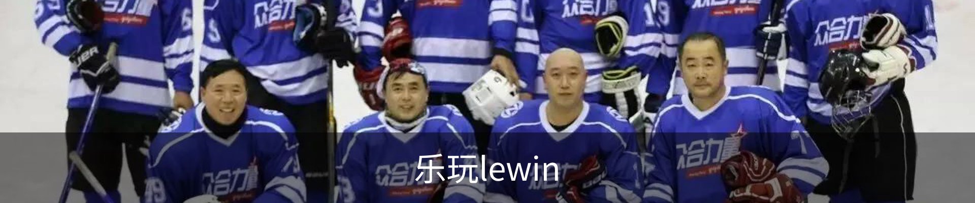 乐玩lewin